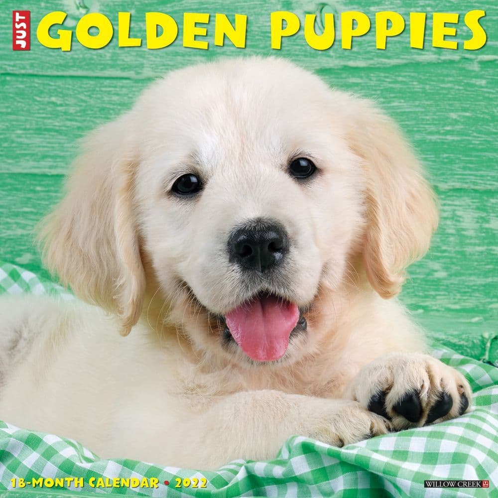 Golden Puppies 2022 Wall Calendar