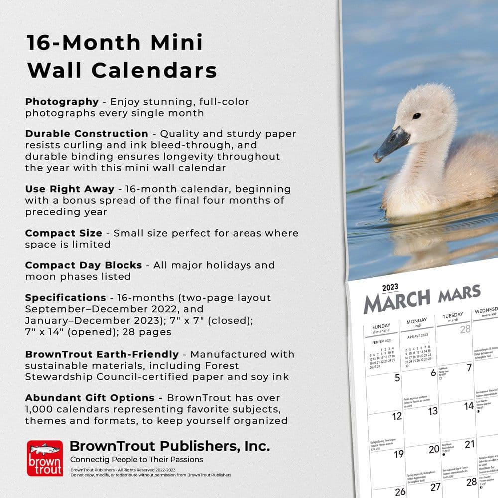 Baby Animal 2023 Mini Wall Calendar - Calendars.com