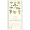 image Farmers Market 2025 Wall Calendar First Alternate Image