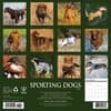 image Sporting Dogs 2026 Wall Calendar First Alternate Image
