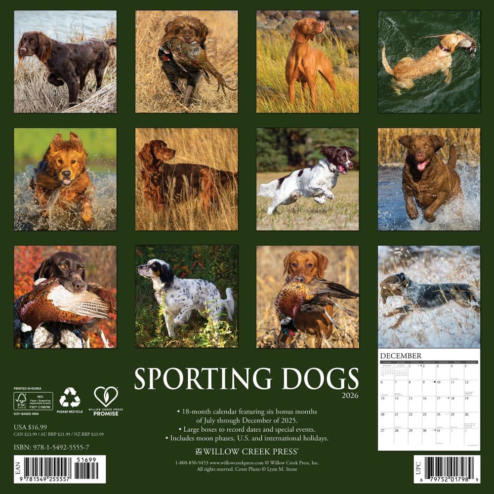 Sporting Dogs 2026 Wall Calendar First Alternate Image