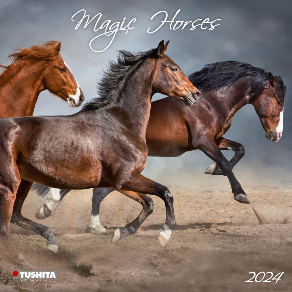 Magic Horses 2024 Wall Calendar Main Product Image width=&quot;1000&quot; height=&quot;1000&quot;