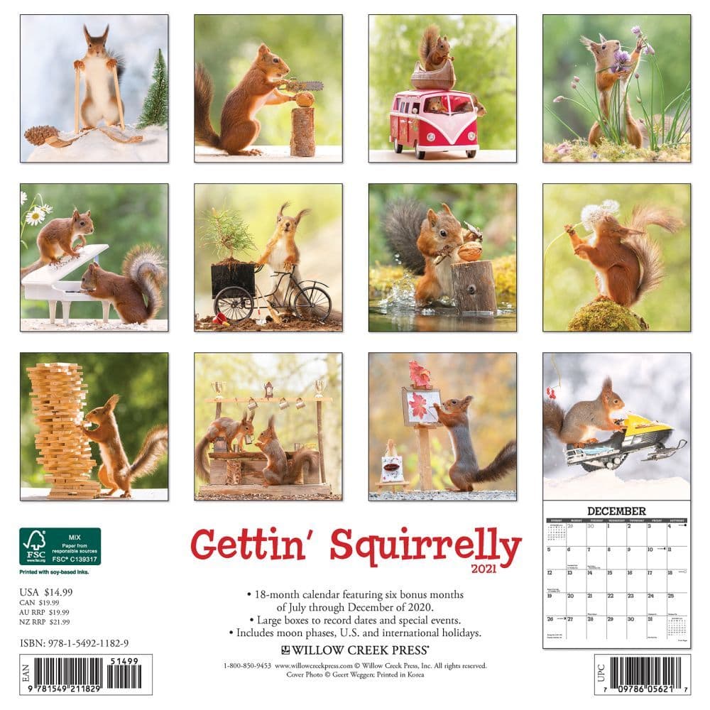 Getting Squirrelly Wall Calendar