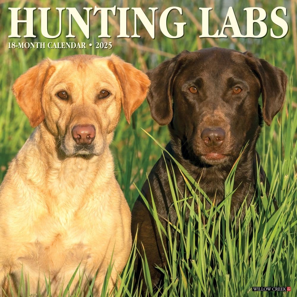 Lab Hunting 2025 Wall Calendar Main Image