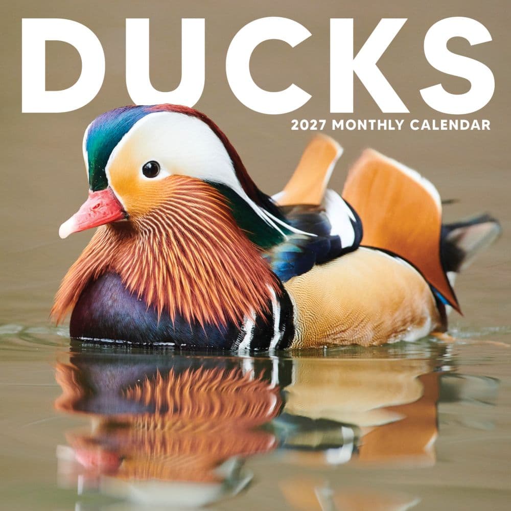 Ducks 2027 Wall Calendar Main Product Image