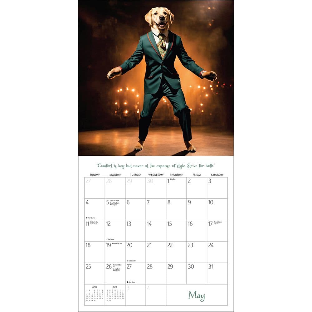 Dogs All Dressed Up 2025 Wall Calendar Third Alternate Image width=&quot;1000&quot; height=&quot;1000&quot;