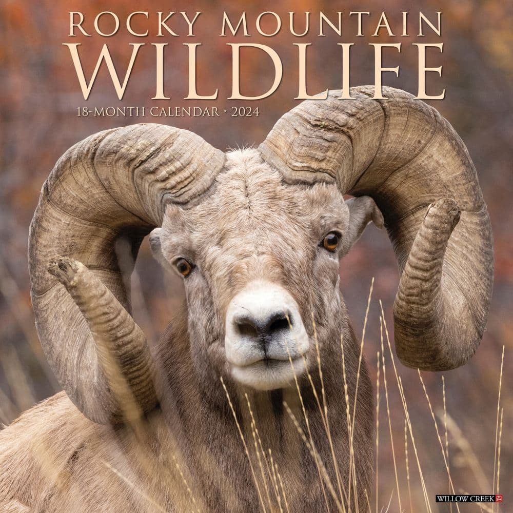 Rocky Mountain Wildlife 2024 Wall Calendar Calendars Com   Fdfbe72f F84c 4f42 9e26 B53eb73f5675