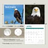 image Bald Eagles 2024 Wall Calendar Eighth Alternate Image width=&quot;1000&quot; height=&quot;1000&quot;