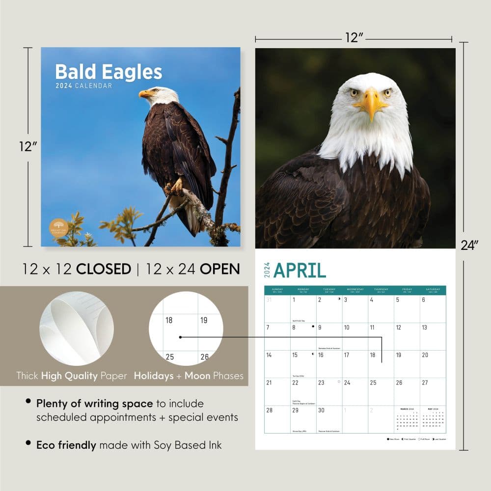 Bald Eagles 2024 Wall Calendar Eighth Alternate Image width=&quot;1000&quot; height=&quot;1000&quot;