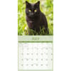 image Black Cats 2026 Wall Calendar Third Alternate Image