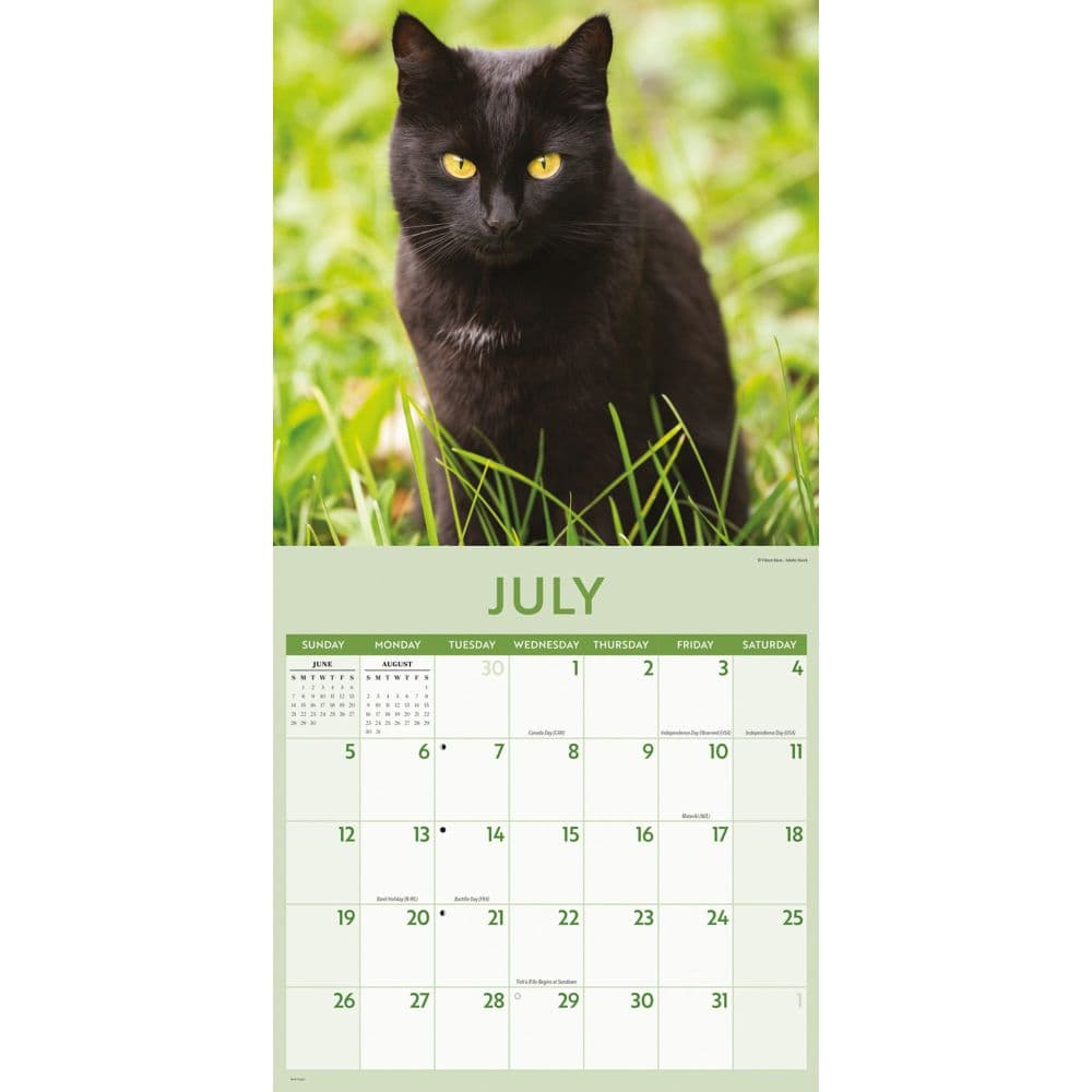 Black Cats 2026 Wall Calendar Third Alternate Image