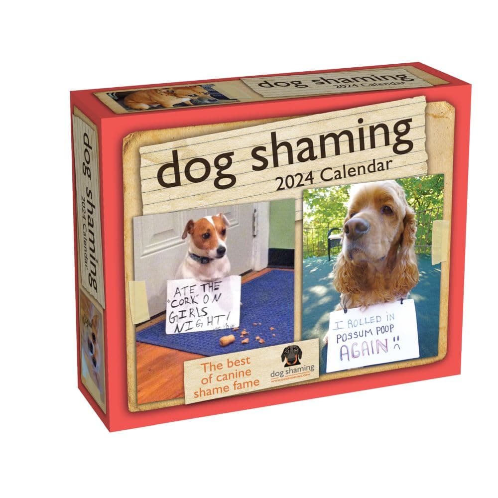 Dog Shaming 2024 Desk Calendar