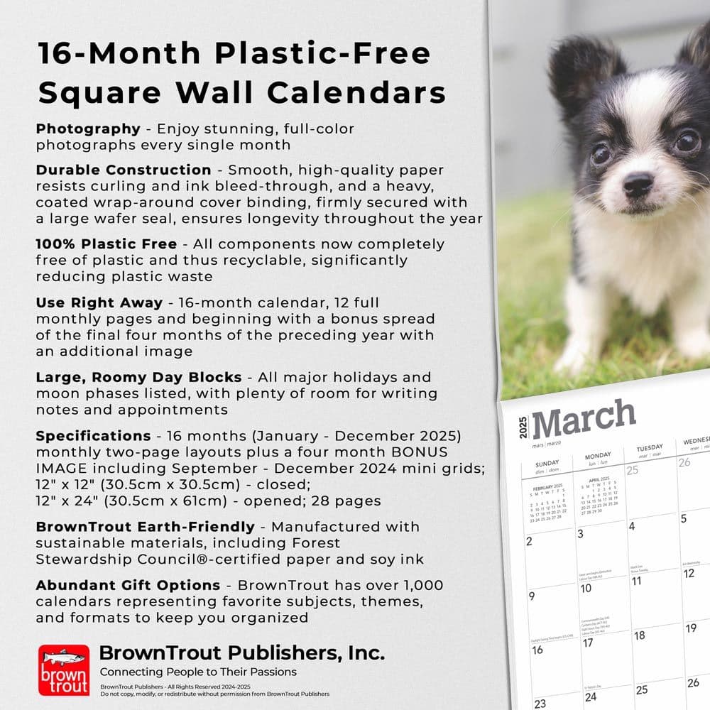 Chihuahua Puppies 2025 Wall Calendar Fifth Alternate Image width=&quot;1000&quot; height=&quot;1000&quot;