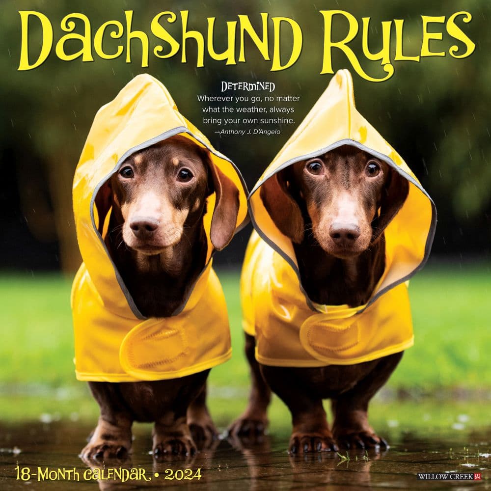 Dry best sale creek dachshunds