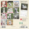 image West Highland Terrier Puppies 2025 Mini Wall Calendar