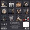 image Catspirations 2025 Wall Calendar First Alternate Image width=&quot;1000&quot; height=&quot;1000&quot;