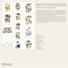 image Mushrooms Viazmensky 2026 Wall Calendar First Alternate Image