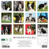 image Just Border Collies 2025 Wall Calendar First Alternate Image width=&quot;1000&quot; height=&quot;1000&quot;