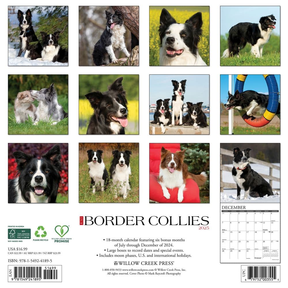 Just Border Collies 2025 Wall Calendar First Alternate Image width=&quot;1000&quot; height=&quot;1000&quot;