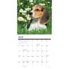 image Just Beagle Puppies 2025 Wall Calendar