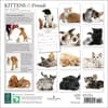 image Kittens and Friends 2025 Wall Calendar First Alternate Image width=&quot;1000&quot; height=&quot;1000&quot;