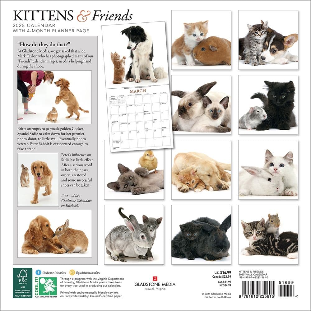 Kittens and Friends 2025 Wall Calendar First Alternate Image width=&quot;1000&quot; height=&quot;1000&quot;