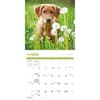 image Puppies 2025 Wall Calendar Second Alternate Image width="1000" height="1000"