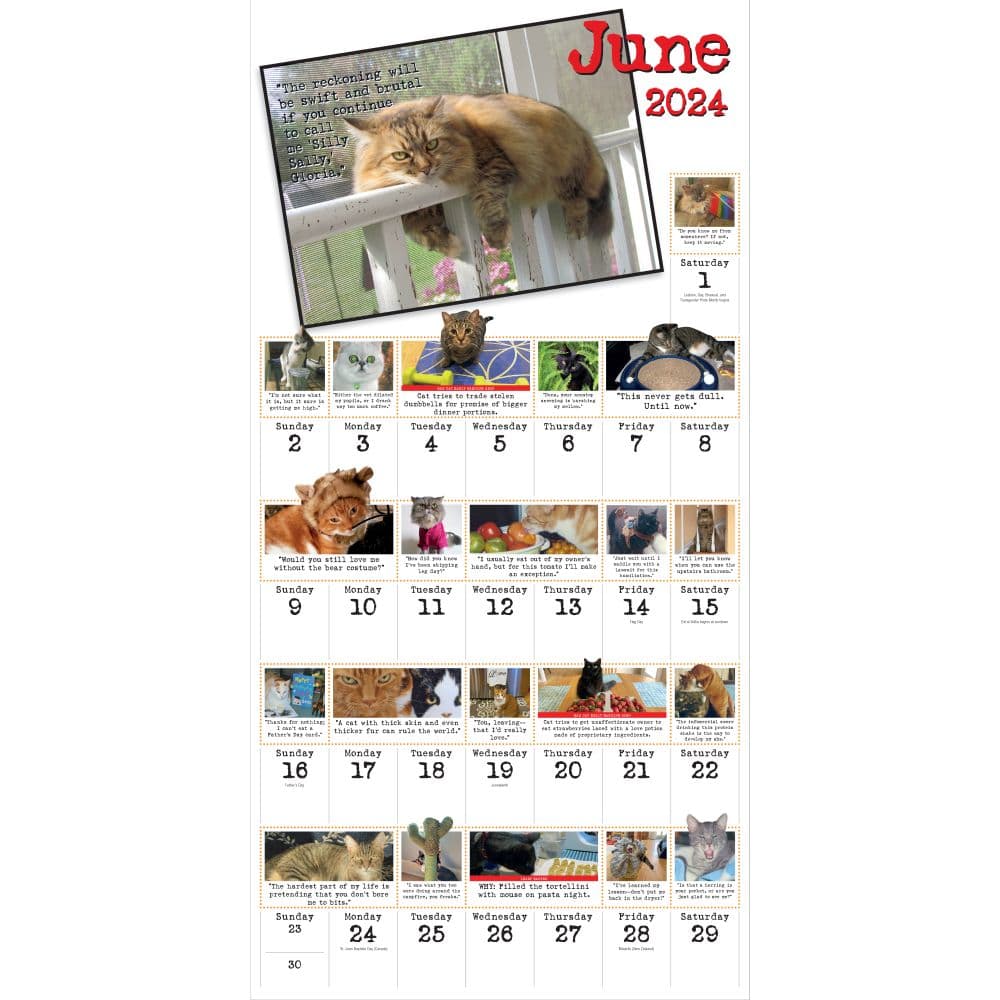 Bad Cat 365 Days 2024 Wall Calendar Alternate Image 1
