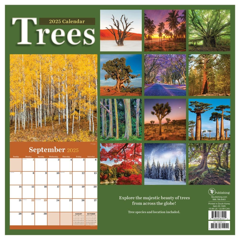 Trees 2025 Wall Calendar Alt1