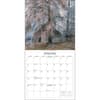 image Witches Woods with Quotes from MacBeth 2025 Wall Calendar Second Alternate Image width=&quot;1000&quot; height=&quot;1000&quot;