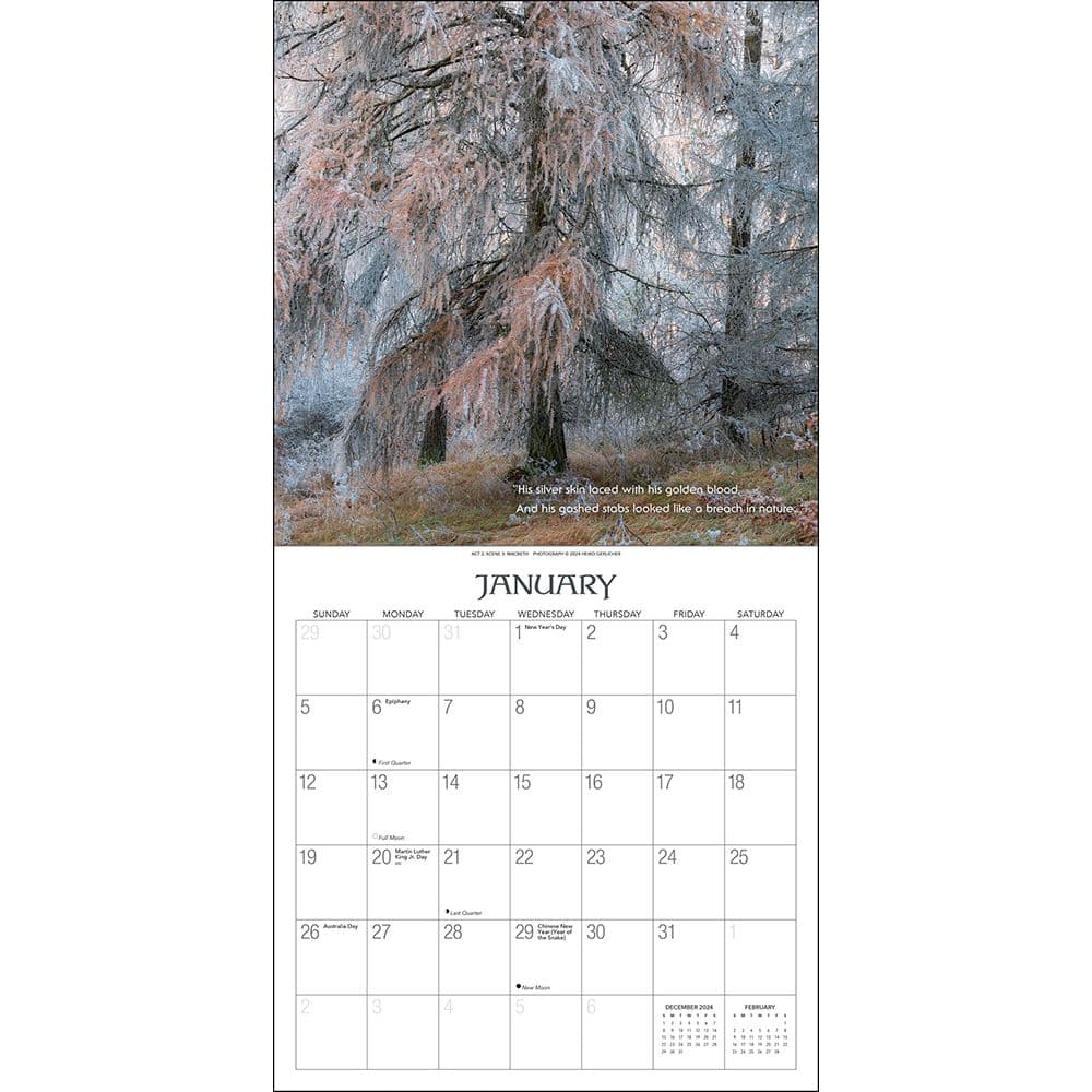 Witches Woods with Quotes from MacBeth 2025 Wall Calendar Second Alternate Image width=&quot;1000&quot; height=&quot;1000&quot;