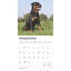 image Rottweilers 2025 Wall Calendar