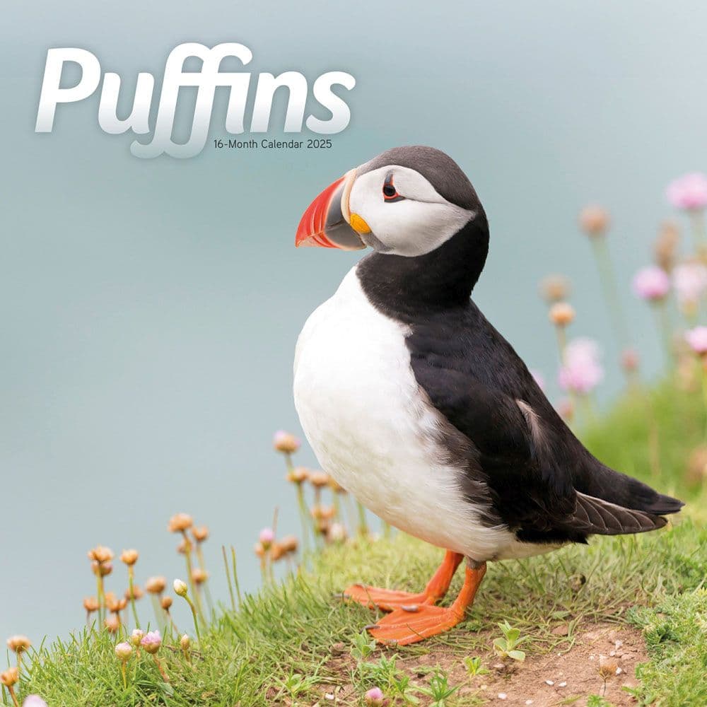 Puffins 2025 Wall Calendar