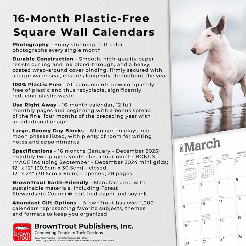 Bull Terriers 2025 Wall Calendar Fifth Alternate Image