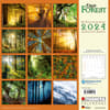 image Deep Forest 2024 Wall Calendar First Alternate Image width=&quot;1000&quot; height=&quot;1000&quot;