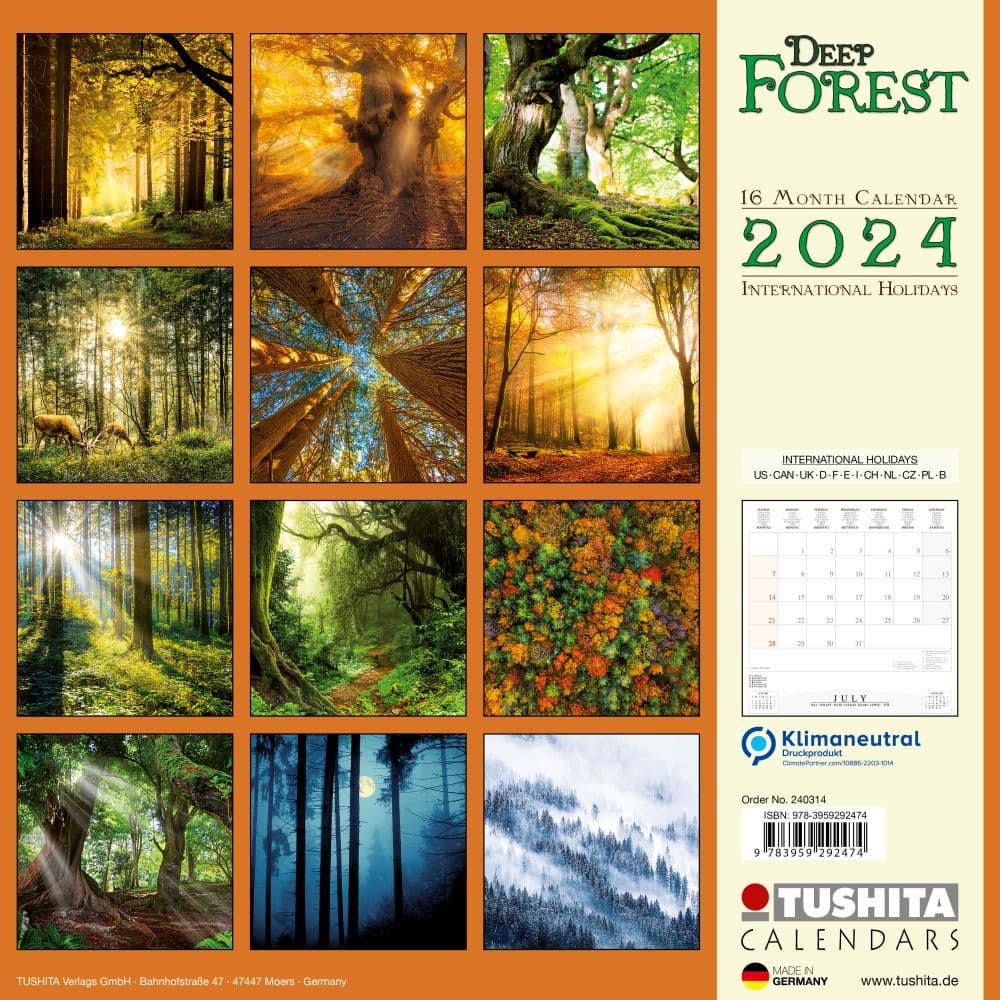 Deep Forest 2024 Wall Calendar First Alternate Image width=&quot;1000&quot; height=&quot;1000&quot;