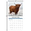 image Highland Cows Photo 2026 Wall Calendar
