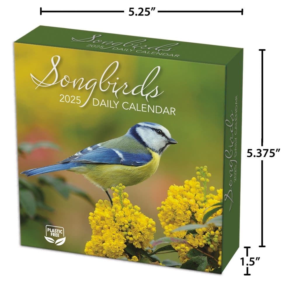 Songbirds 2025 Desk Calendar Sixth Alternate