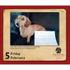 image Dog Shaming 2027 Desk Calendar Third Alternate Image