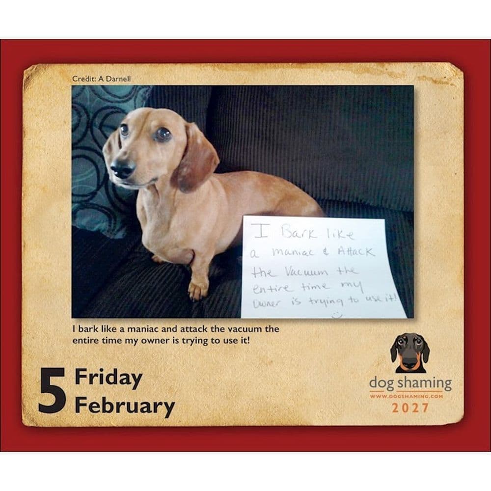 Dog Shaming 2027 Desk Calendar Third Alternate Image