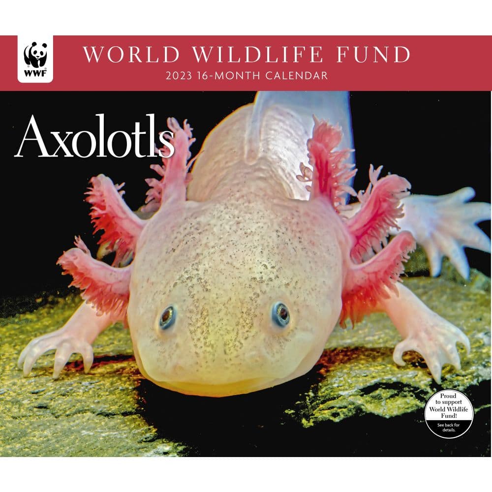 Axolotl WWF 2023 Wall Calendar Calendars For All