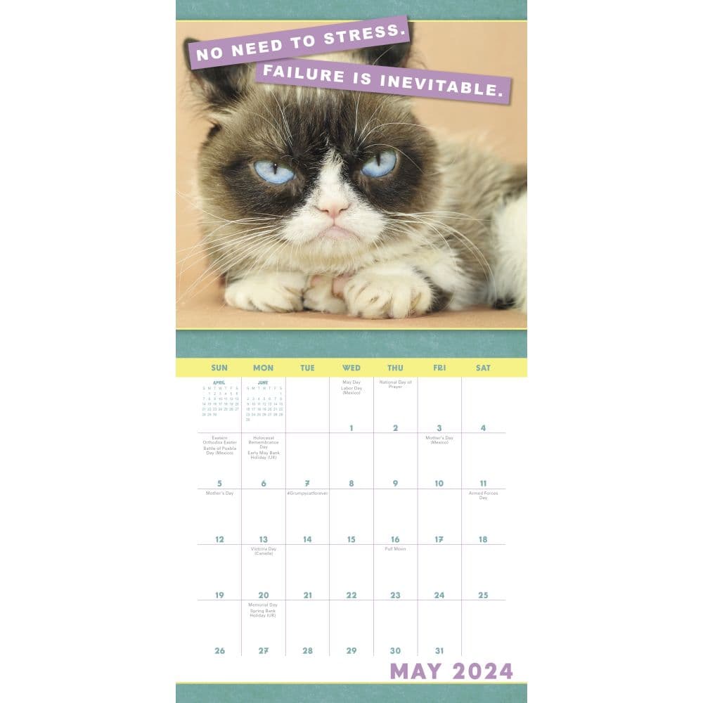 Grumpy Cat 2024 Mini Wall Calendar