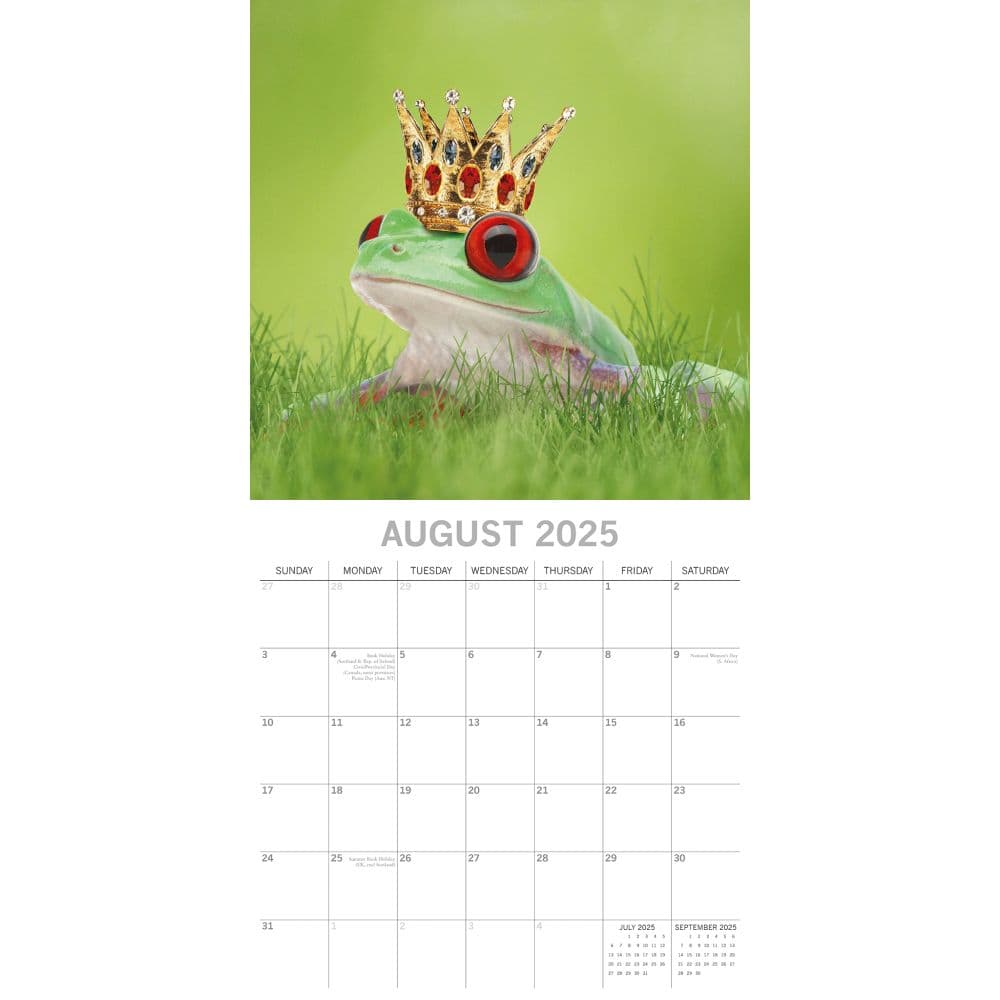 Fabulous Frogs 2025 Wall Calendar