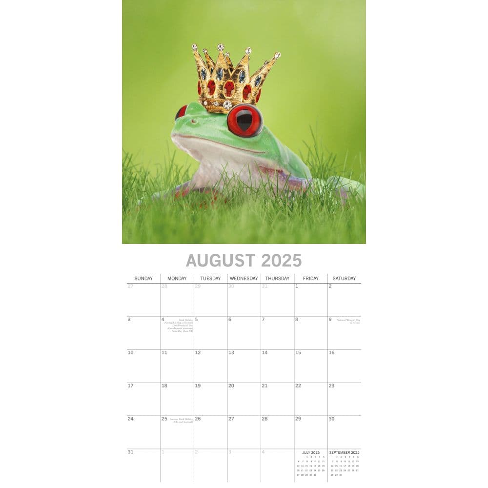 Fabulous Frogs 2025 Wall Calendar Third Alternate Image width=&quot;1000&quot; height=&quot;1000&quot;