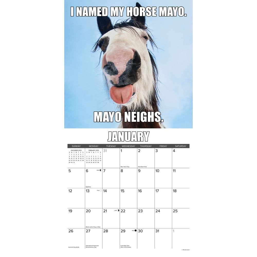 Horsin Around 2025 Wall Calendar Second Alternate Image width="1000" height="1000"