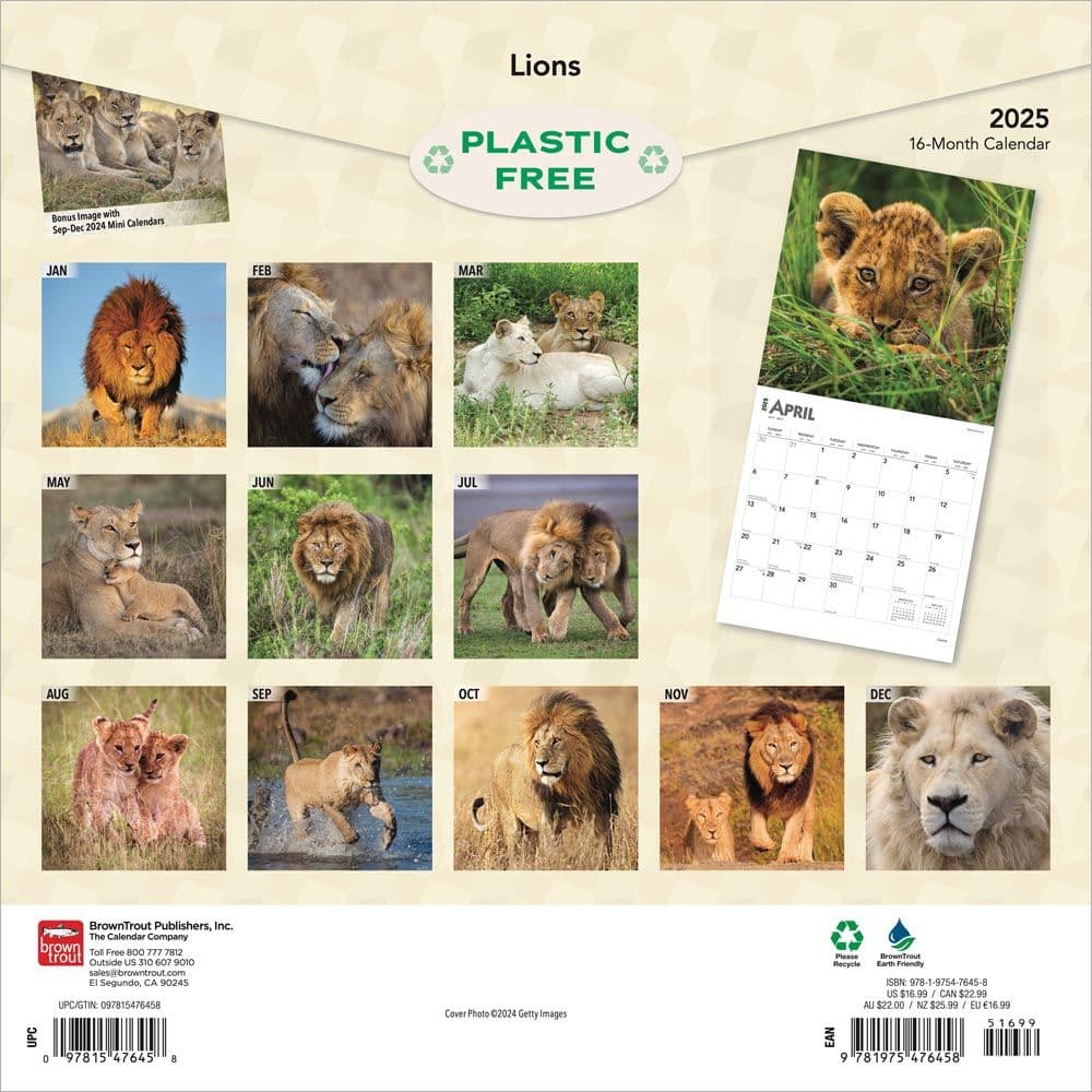 Lions 2025 Wall Calendar First Alternate Image