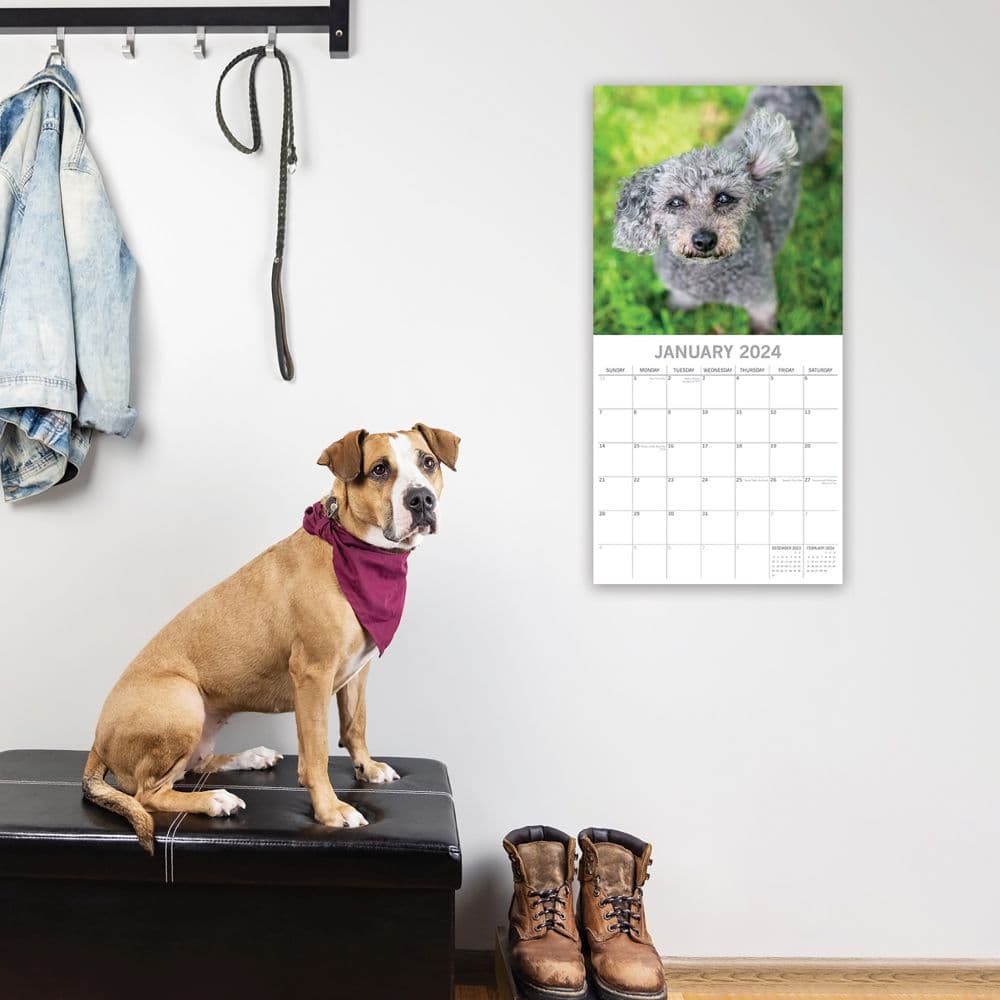 Dogs in the Wind 2024 Wall Calendar