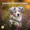 image Australian Shepherd Puppies 2025 Wall Calendar  Main Image