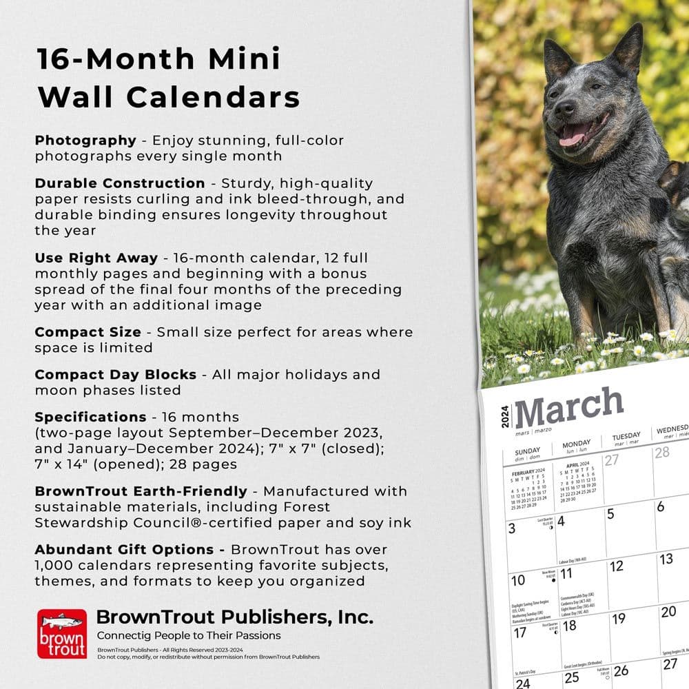Blue Heelers 2024 Mini Wall Calendar Fourth Alternate Image width=&quot;1000&quot; height=&quot;1000&quot;
