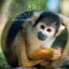 image Monkey Business 2024 Wall Calendar Main Product Image width=&quot;1000&quot; height=&quot;1000&quot;